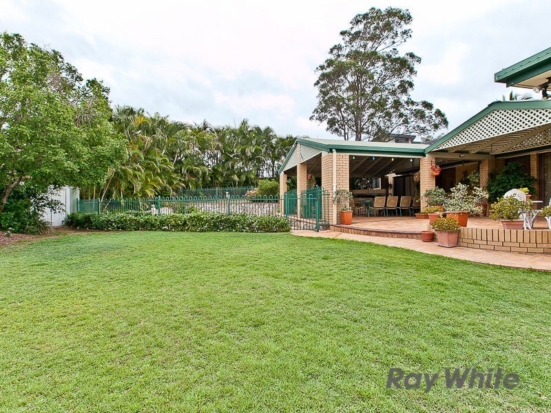 16 Marsala Street, Carseldine QLD 4034