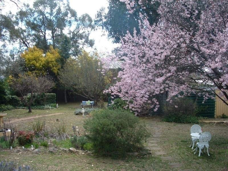 53 Kentucky Street, Armidale NSW 2350