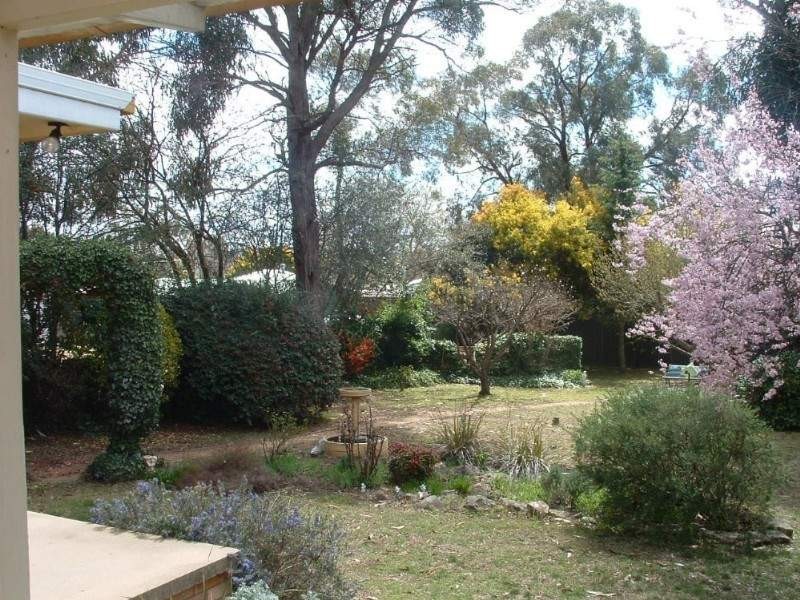 53 Kentucky Street, Armidale NSW 2350