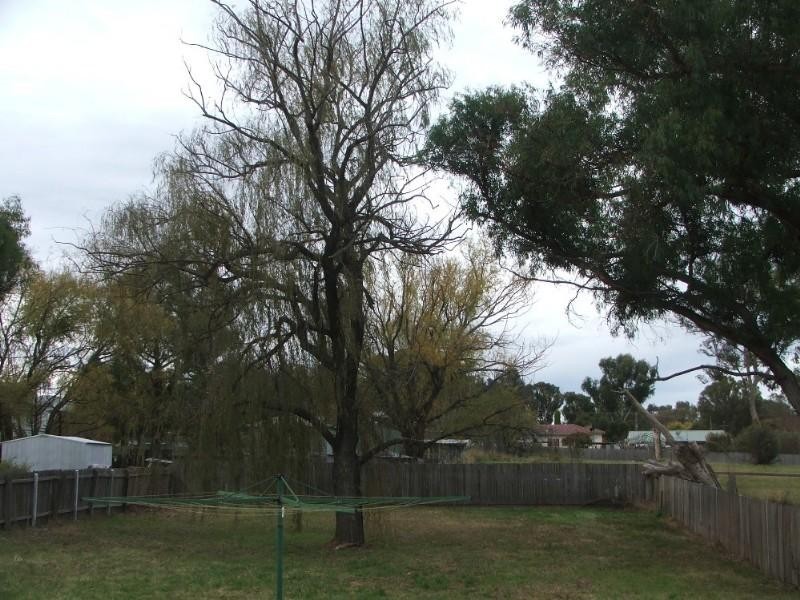 35 Newton Street, Armidale NSW 2350