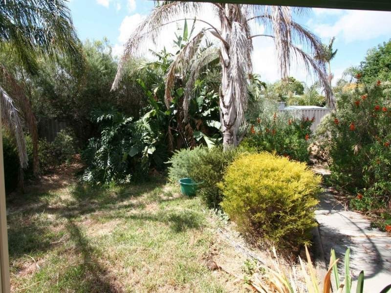 37 Curlington Crescent, Balga WA 6061