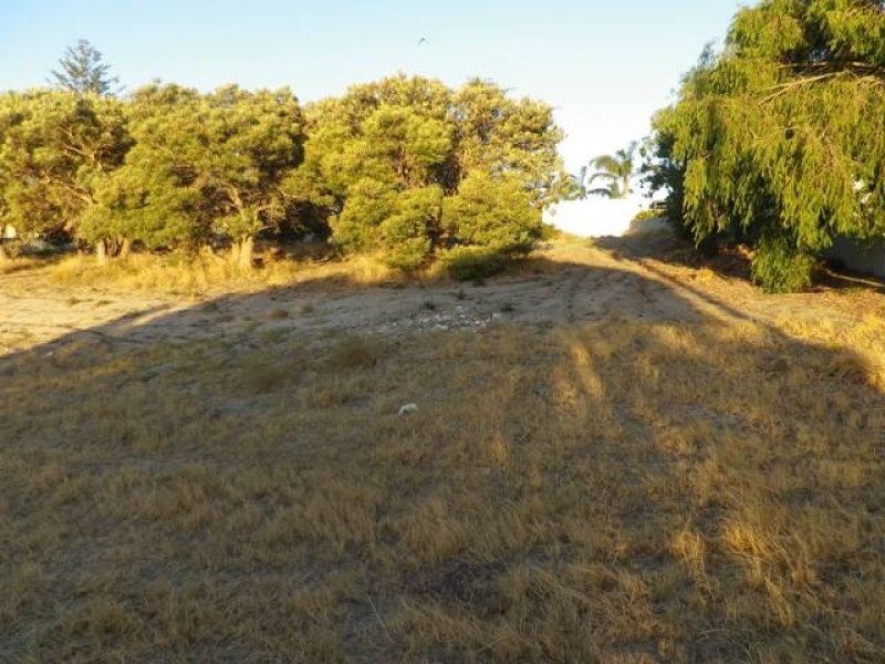 37 Scrivener Place, Halls Head WA 6210