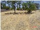 14 Abelia Street, Rangeway WA 6530