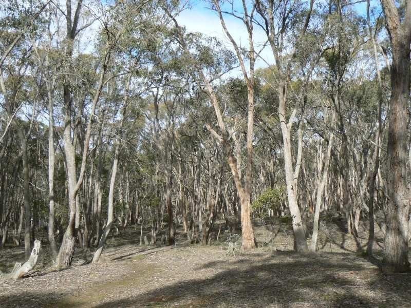 179 Baldwins Road, Trawalla VIC 3373