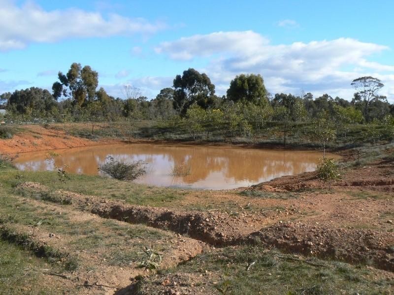 99 Smiths Road, Bealiba VIC 3475