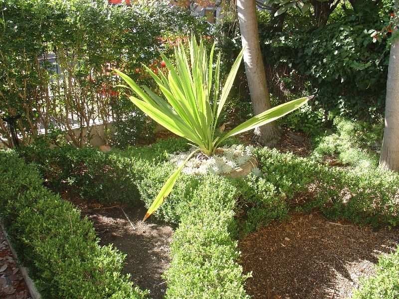 27 Paddington Street, Paddington NSW 2021