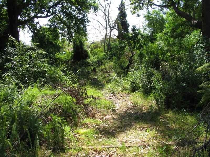 29 Canyon Road, Baulkham Hills NSW 2153