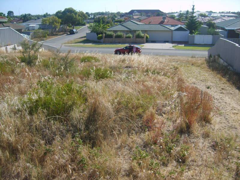 76 Cuthbertson Drive, Cooloongup WA 6168