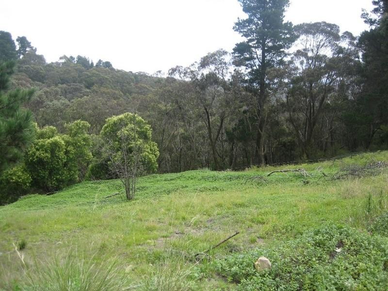 38 Darling Causeway, Mount Victoria NSW 2786