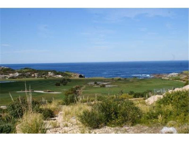 41 Gubbuteh Road, Little Bay NSW 2036