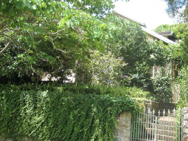 18 Carlotta Road, Double Bay NSW 2028