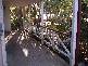 48 Enford Street, Hillcrest QLD 4118
