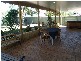 75 Flinders Crescent, Boronia Heights QLD 4124