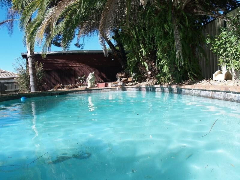 7 Cunningham Drive, Boronia Heights QLD 4124
