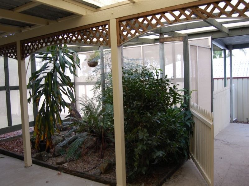 22 Matson Avenue, Regents Park QLD 4118