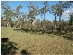 140 Stoney Camp Road, Park Ridge South QLD 4125