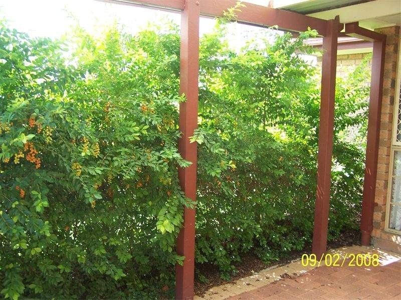 5 Sutton Court, Browns Plains QLD 4118