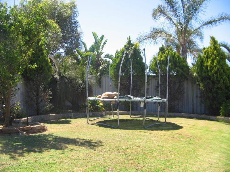 21 Carberry Cir, Clarkson WA 6030