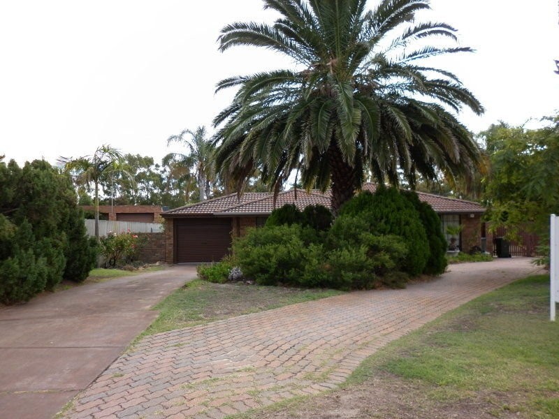 17 Chancery Lane, Alexander Heights WA 6064