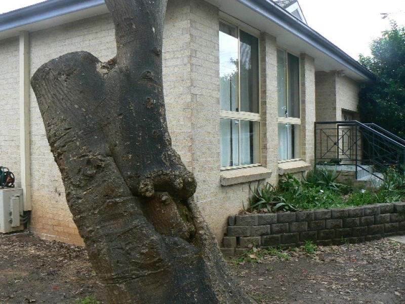 19a Jenkins Road, Carlingford NSW 2118