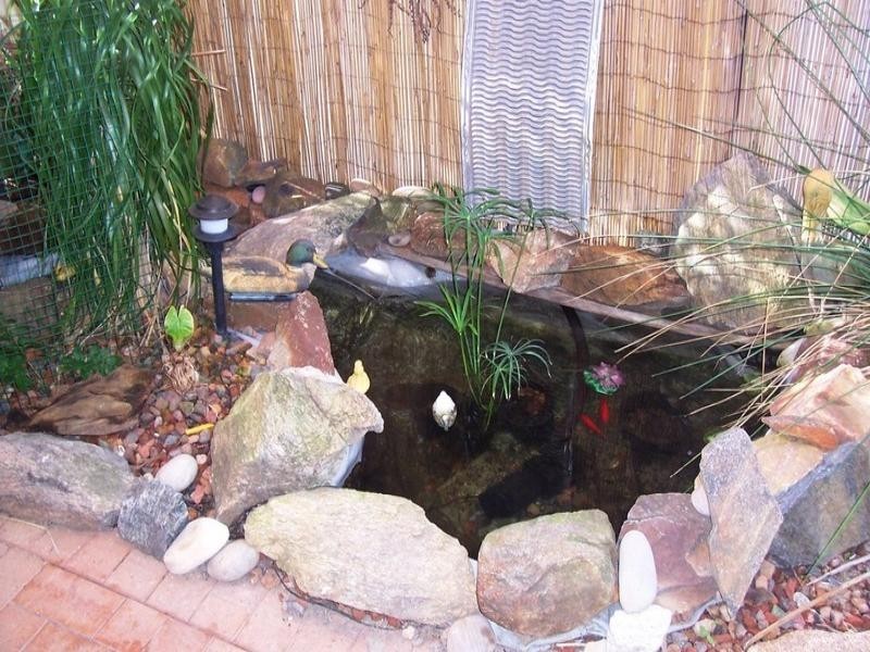 10 Chapple Drive, Australind WA 6233