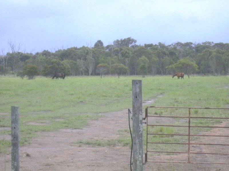 Abbotsford QLD 4670