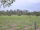 Abbotsford QLD 4670
