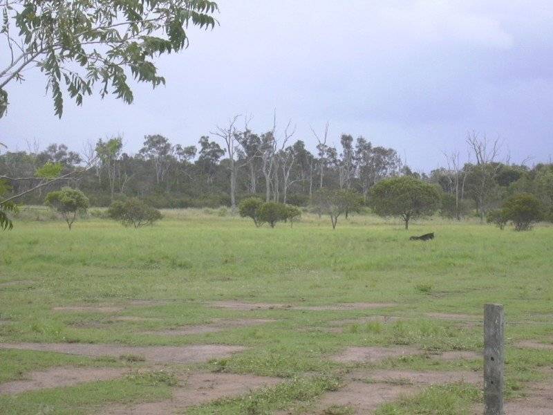 Abbotsford QLD 4670