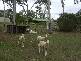 Abbotsford QLD 4670