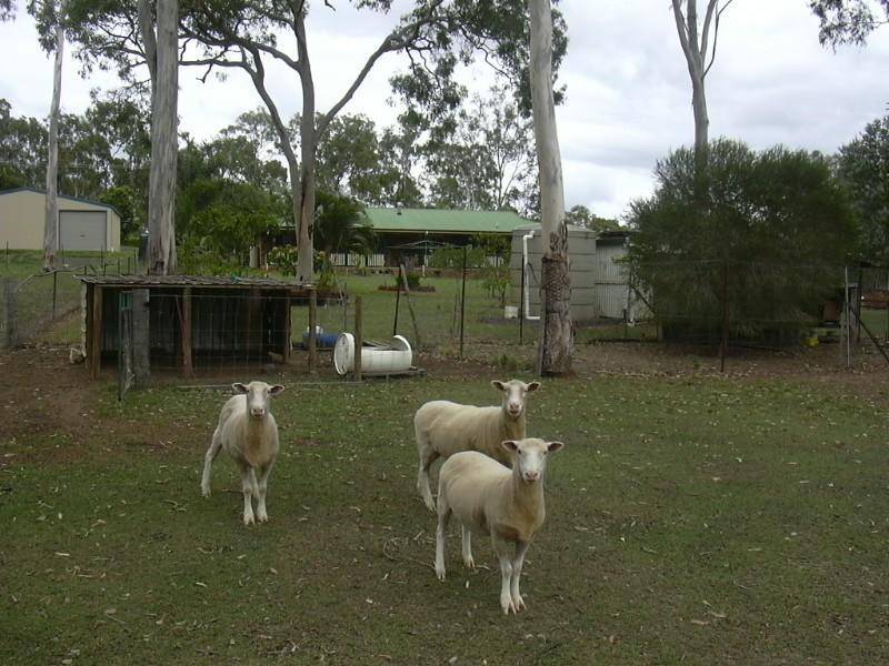 Abbotsford QLD 4670