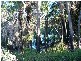 60 Moore Park Rd, Moore Park Beach QLD 4670