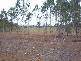 Abbotsford QLD 4670