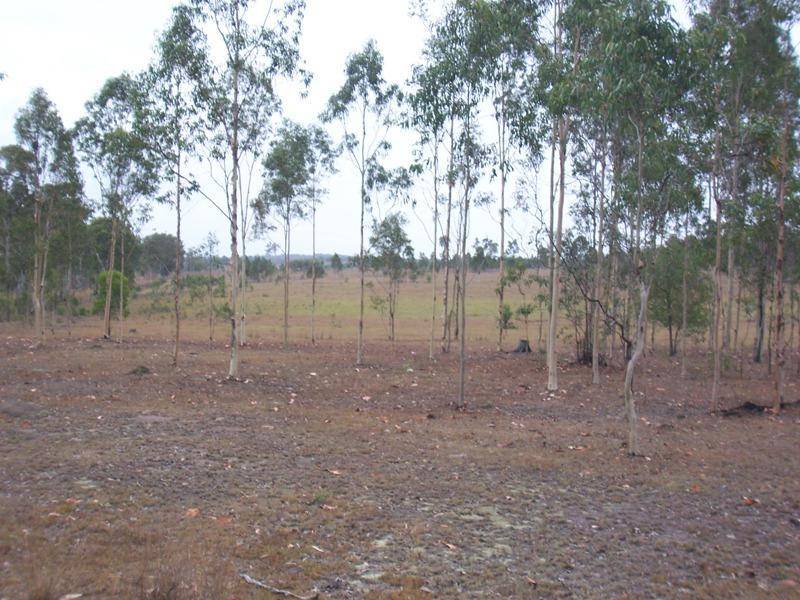 Abbotsford QLD 4670