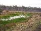 Abbotsford QLD 4670