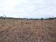 Abbotsford QLD 4670