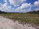 Abbotsford QLD 4670