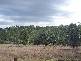 Abbotsford QLD 4670