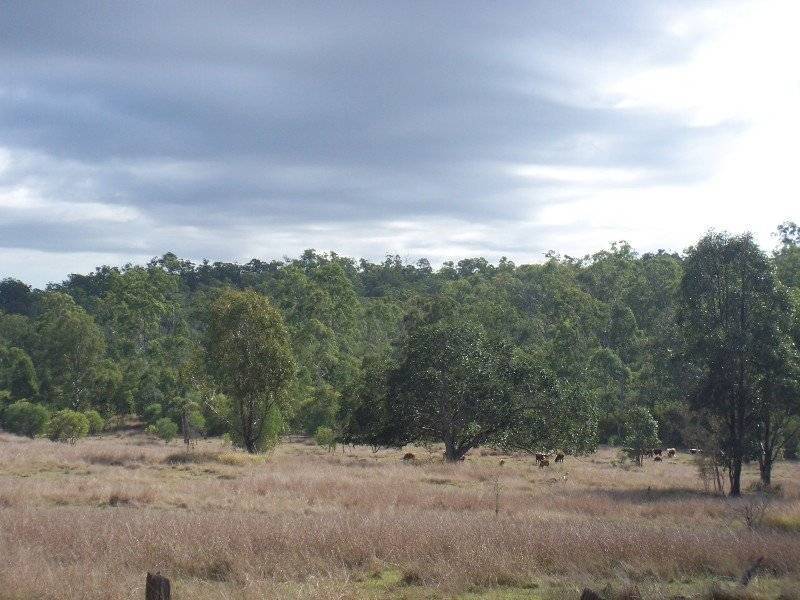 Abbotsford QLD 4670