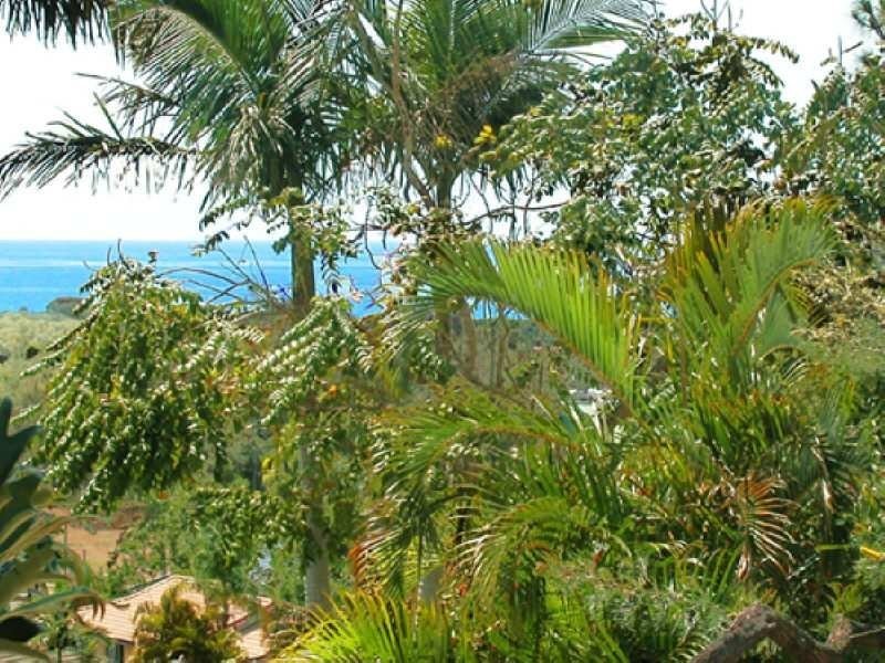 24 Yalla Kool Drive, Ocean Shores NSW 2483