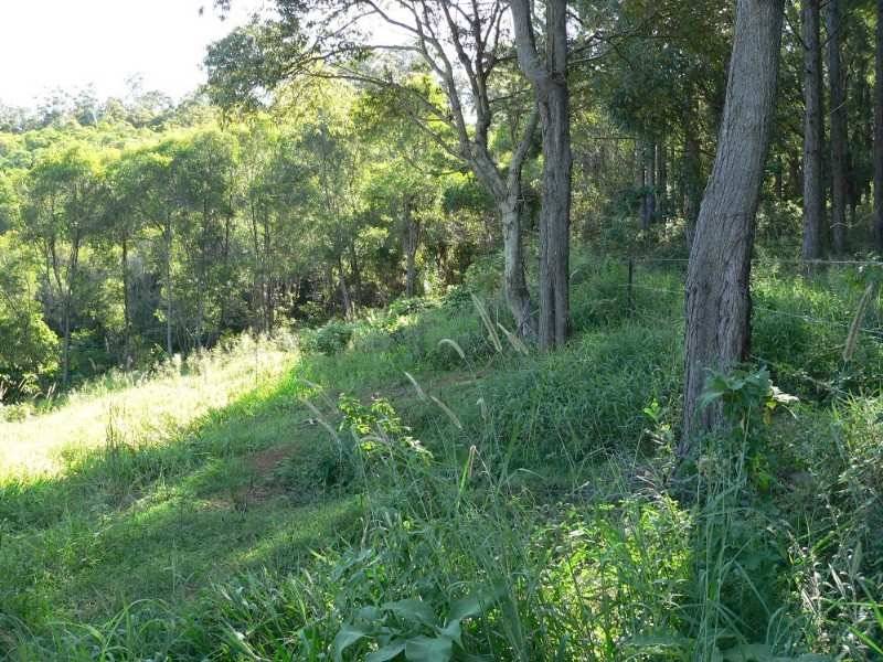 Pacific Pines QLD 4211