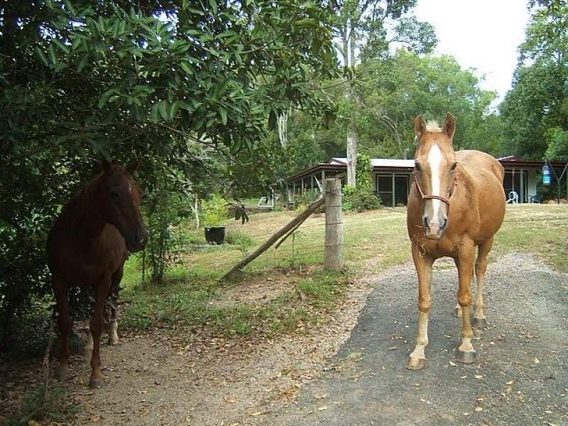 46 Barlee Drive, Fernvale NSW 2484