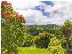 253 Palmvale Road, Palmvale, Palmvale NSW 2484
