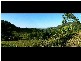 Lot 4 298 Dungay Creek Road * Dungay, Murwillumbah NSW 2484