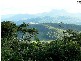 Lot 4 298 Dungay Creek Road * Dungay, Murwillumbah NSW 2484