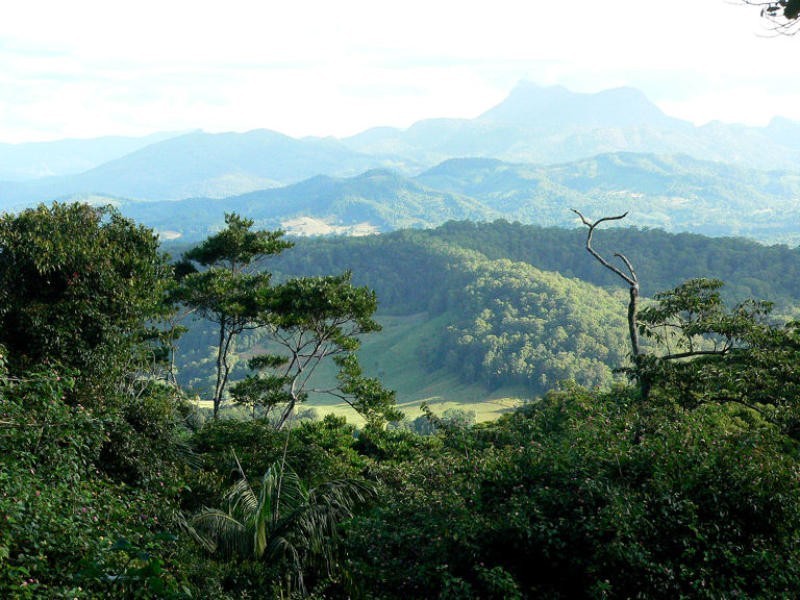 Lot 4 298 Dungay Creek Road * Dungay, Murwillumbah NSW 2484