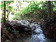 Lot 4 298 Dungay Creek Road * Dungay, Murwillumbah NSW 2484