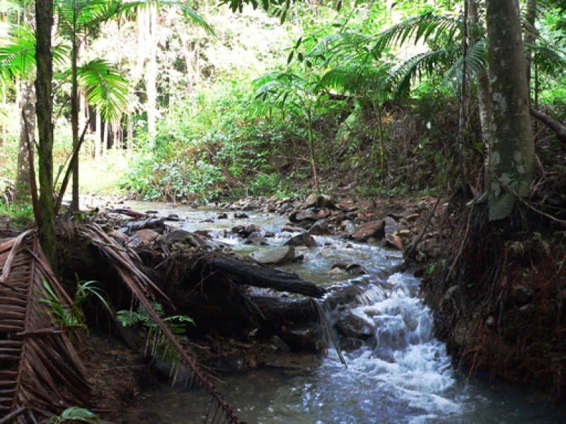 Lot 4 298 Dungay Creek Road * Dungay, Murwillumbah NSW 2484
