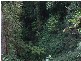 Lot 4 298 Dungay Creek Road * Dungay, Murwillumbah NSW 2484