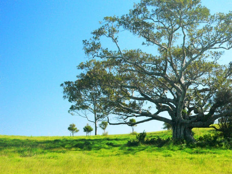 22 Sunnycrest Drive * Azure, Terranora NSW 2486