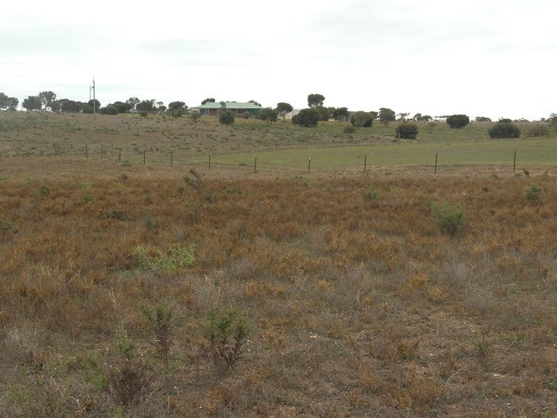 Sec 440 Government Road, Tickera SA 5555